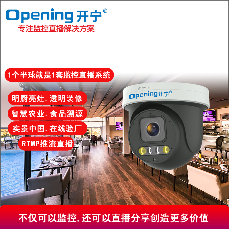 4K800万6倍变焦云台半球